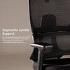 Focus - Fabric Ergonomic Chair in Black